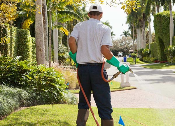 About Loyal OK Pest Control